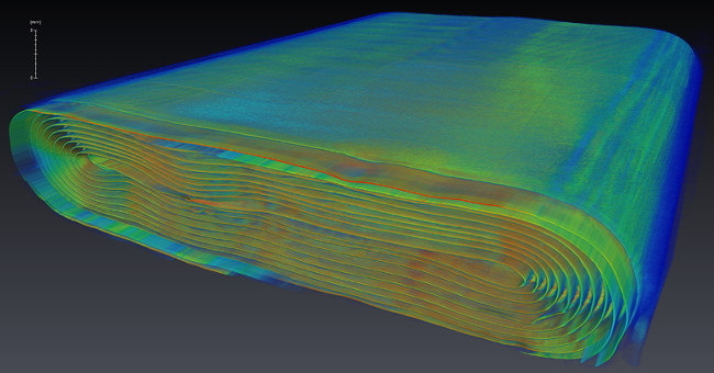 X-rays reveal the bulge of gas in the phone's battery