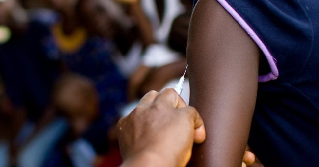 Yellow fever is at risk of a global outbreak