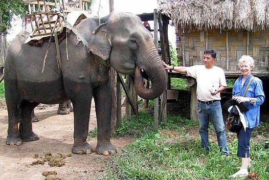 Yor-Don National Park calls for help