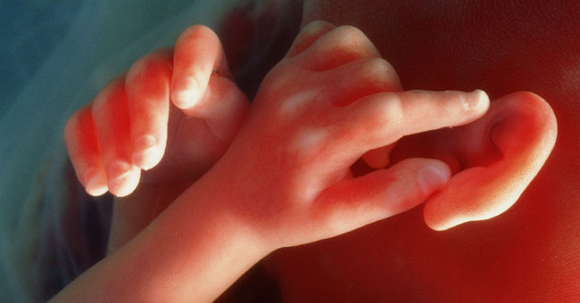 You can apply the creation of babies from a father and a mother