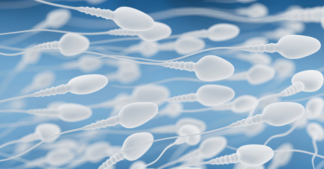 You can really get pregnant even if you don't have formal sex