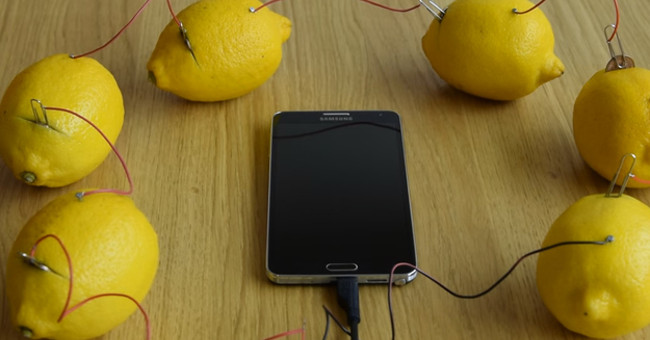 You Can Use Lemon To Charge Your Phone But How Much Fruit Will We Need?