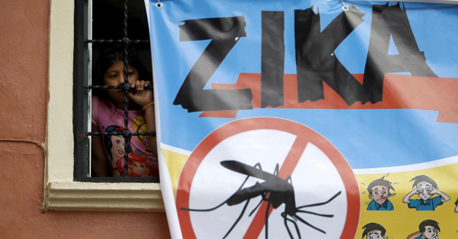 Zika virus appears in Laos, the border gates in Quang Tri take precautions