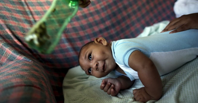 Zika virus lurks deep in the body, difficult to kill