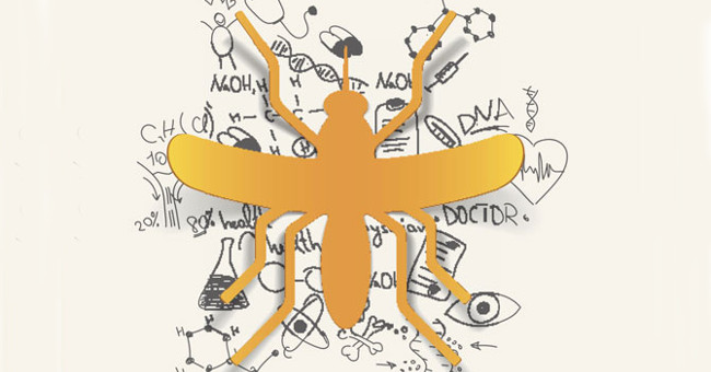 Zika virus prevention method: Use mosquito to kill mosquitoes