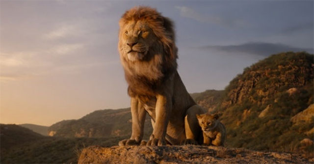 Zoologist: The film 'The Lion King' describes completely the wrong male lion role in practice