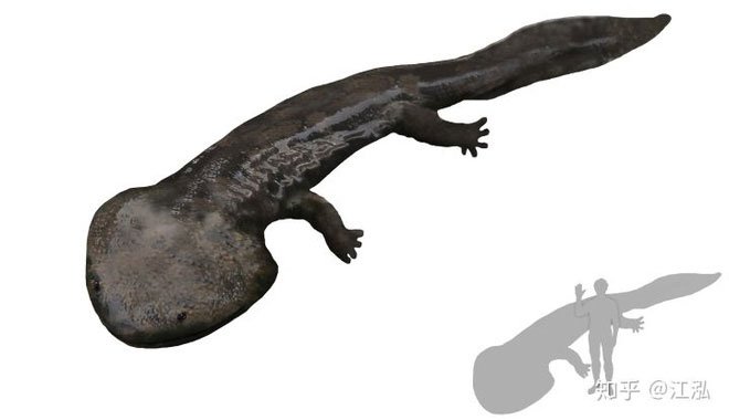 Picture 4 of 100 million years ago, Antarctica once existed a giant iguana larger than a car