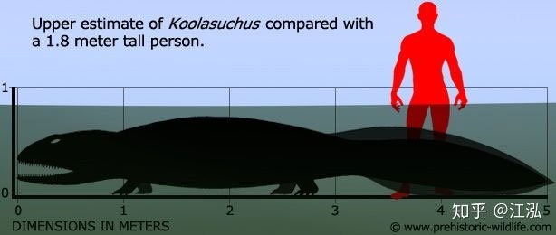 Picture 5 of 100 million years ago, Antarctica once existed a giant iguana larger than a car