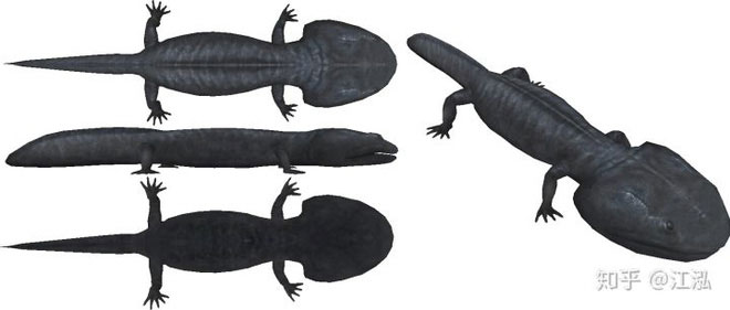 Picture 6 of 100 million years ago, Antarctica once existed a giant iguana larger than a car