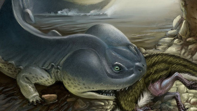 100 million years ago, Antarctica once existed a giant iguana larger than a car