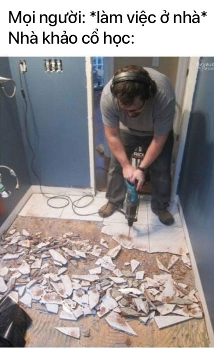 Picture 2 of 1001 humorous perspective when all professions must work from home