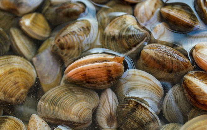 Picture 4 of 5 foods if you 'forget' blanching before cooking is like swallowing poison