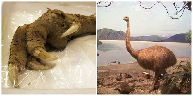 Picture 1 of 7 archaeological discoveries are 'going the right way' with science, so far no one has explained it