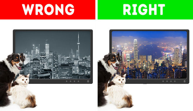 Picture 3 of 8 misconceptions are ingrained in human consciousness, even included in textbooks