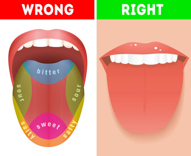 Picture 5 of 8 misconceptions are ingrained in human consciousness, even included in textbooks