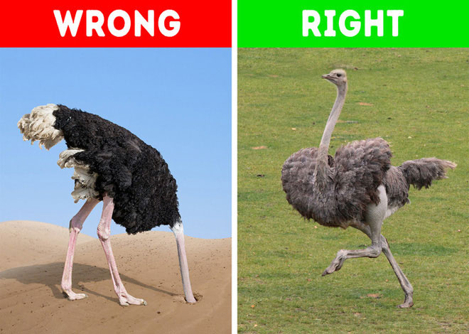 Picture 6 of 8 misconceptions are ingrained in human consciousness, even included in textbooks