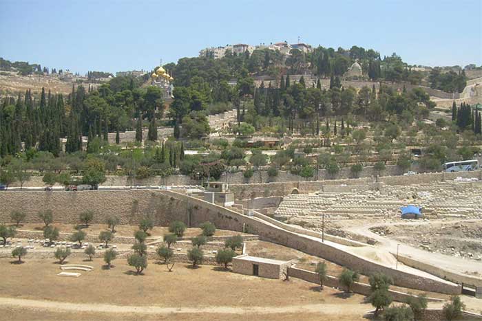 Picture 8 of 9 things you probably didn't know about Jerusalem