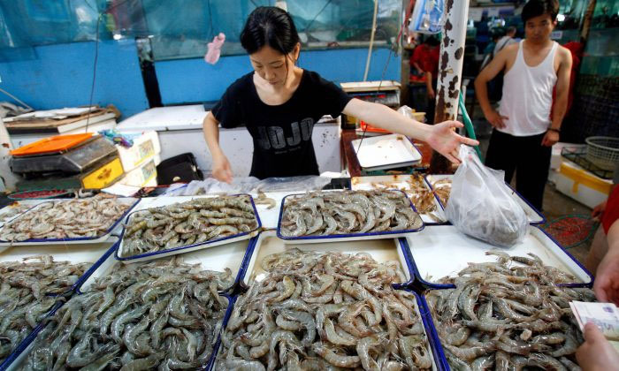 Picture 2 of A mysterious virus appeared in China, an infected shrimp destroyed the herd
