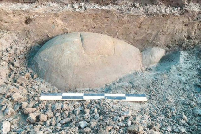 A one-meter-long statue of a turtle sunk beneath a reservoir Picture 1
