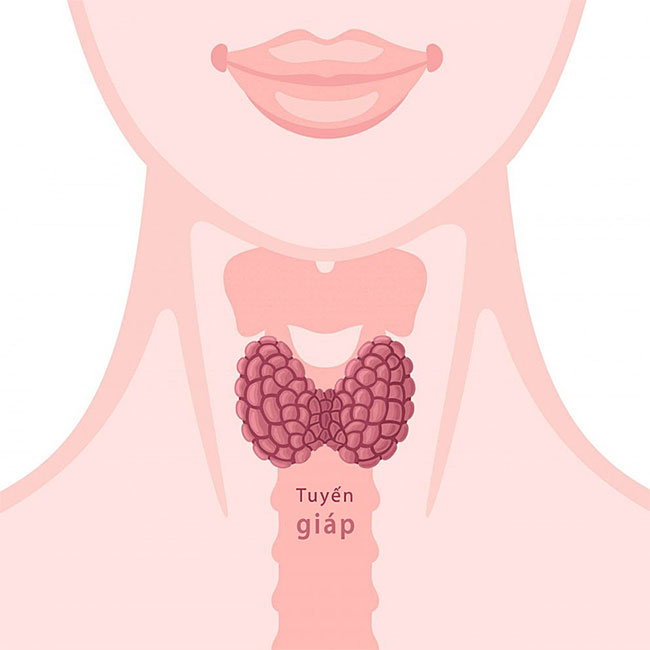 Picture 2 of A simple way to check your thyroid at home