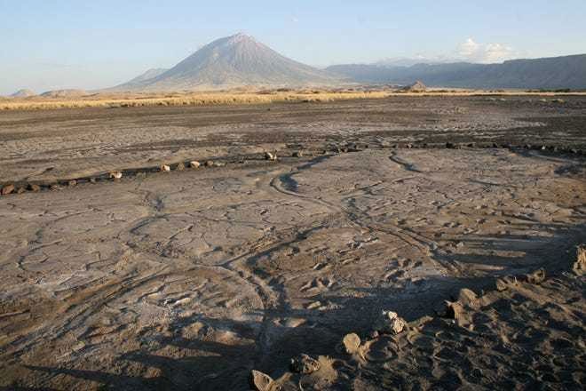 Picture 2 of Africa's largest fossil footprints reveal how the ancients sought food