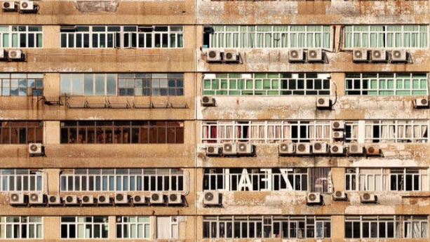 Picture 3 of Air conditioner was originally not for people, this was its 'true owner'