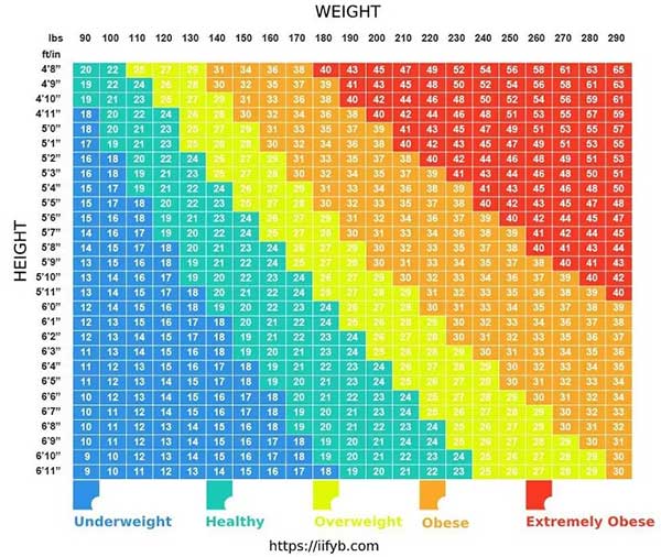 Picture 2 of BMI and fat ratio: Only one of these two indicators is really important