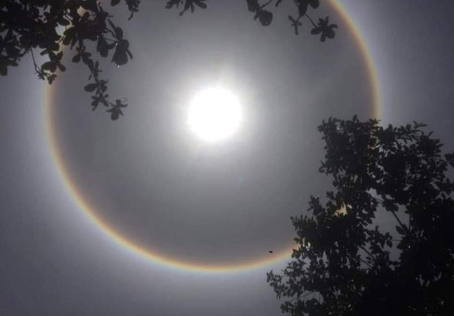 Picture 5 of Bunches of halo images appear beautiful in many Southeast provinces