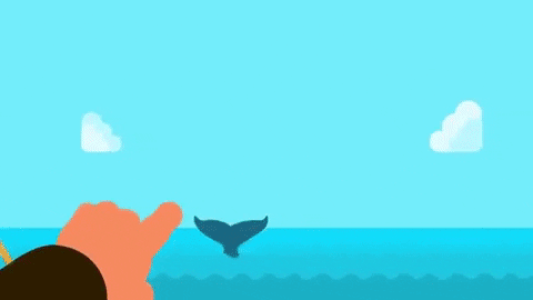 Picture 2 of Can you live in whale belly?