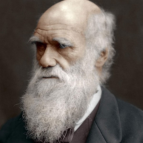 Picture 2 of Charles Darwin's strange eating hobby