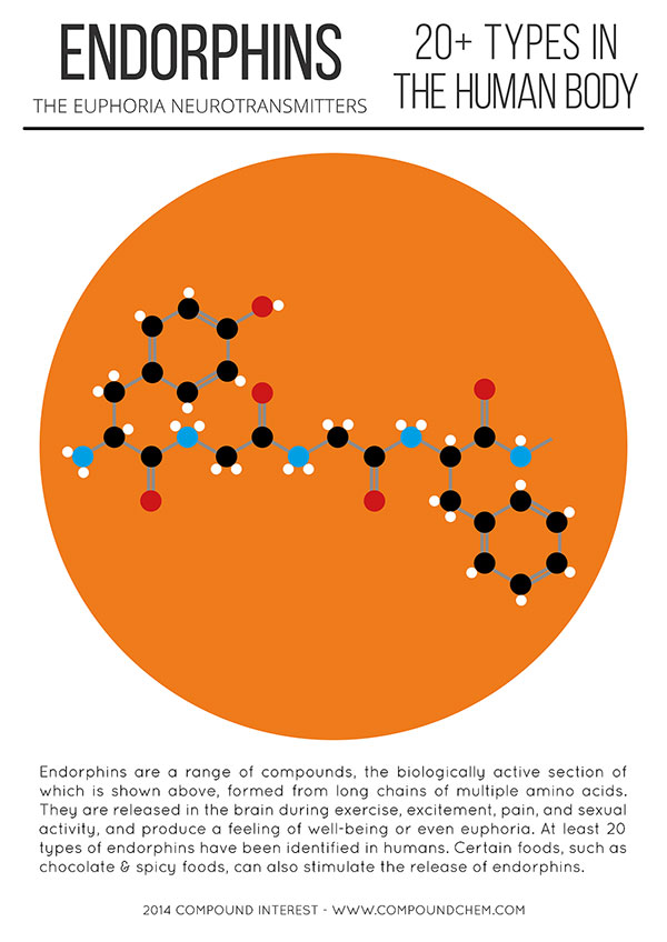 Picture 3 of Classification and happy hormone role