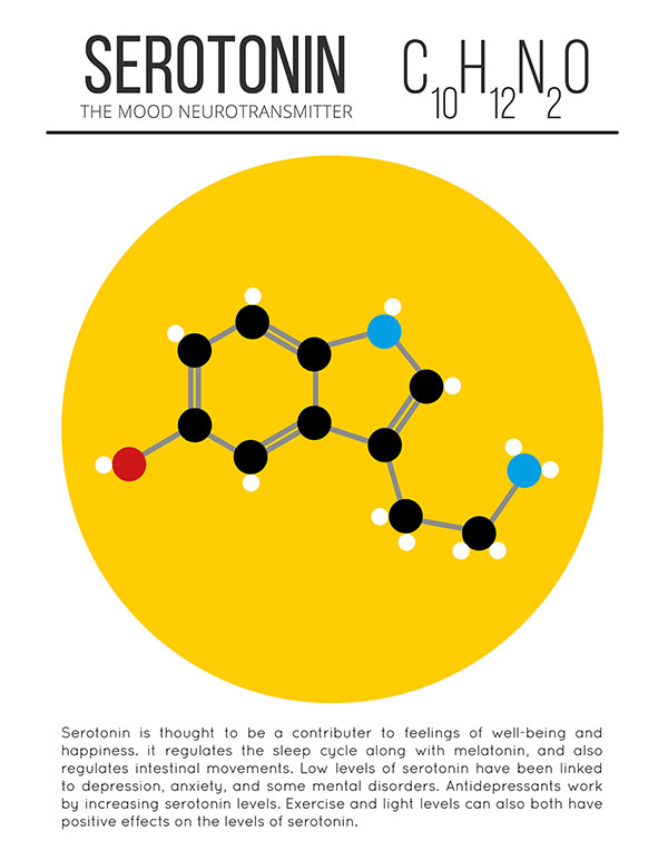 Picture 4 of Classification and happy hormone role