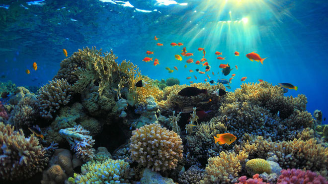 Picture 1 of Climate change changes the pH of the ocean, returning to what it was 14 million years ago