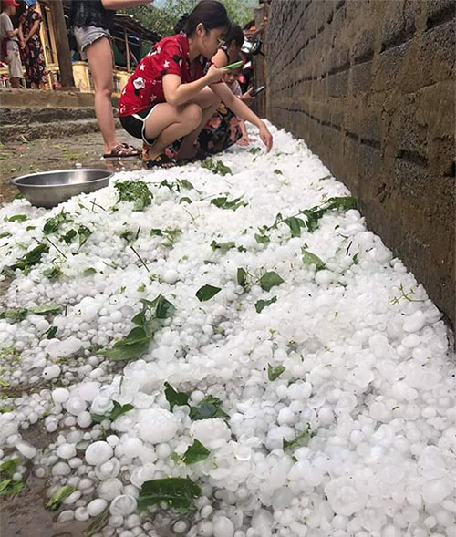 Picture 1 of Close-up of hail-like hail destroyed many houses in Nghe An