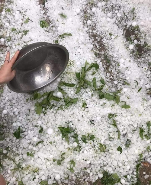 Picture 4 of Close-up of hail-like hail destroyed many houses in Nghe An