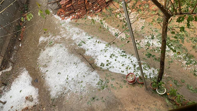 Picture 5 of Close-up of hail-like hail destroyed many houses in Nghe An
