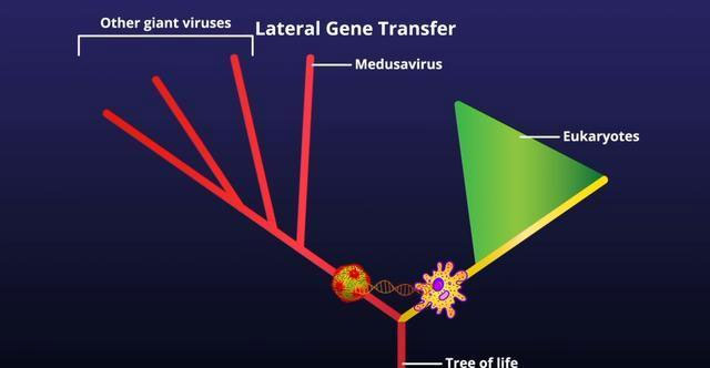 Picture 3 of Detecting a virus as likely as Medusa monster of Greek myth