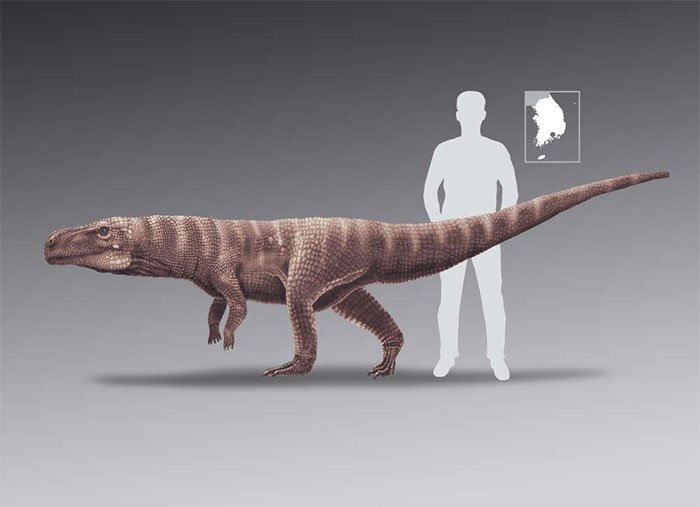 Picture 5 of Discover a prehistoric crocodile 3m long walk on two feet
