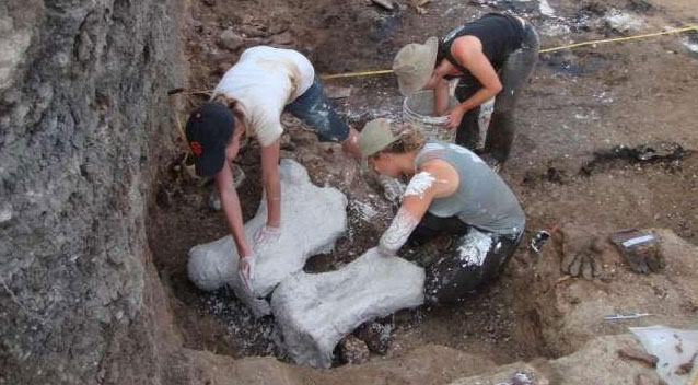 Picture 1 of Discovered 22 giant sloths preserved in their own feces