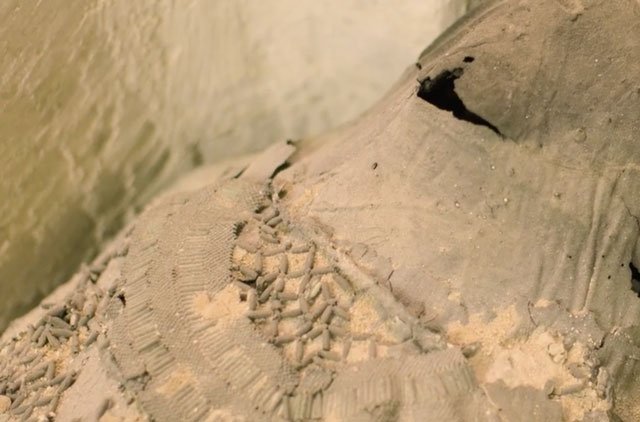 Picture 12 of Explore the 'City of the dead' in ancient Egypt
