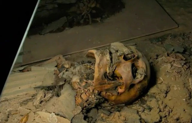 Picture 3 of Explore the 'City of the dead' in ancient Egypt