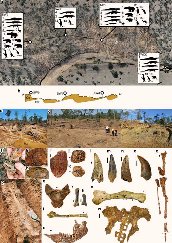 Picture 2 of Extreme climate extinct giant fauna in Australia and New Guinea