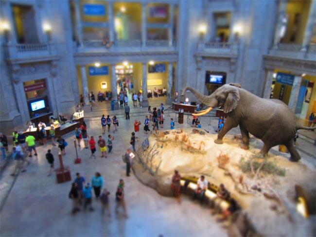 Picture 1 of Fight 'crazy legs' with a virtual tour of the 10 famous science museums