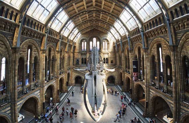 Picture 7 of Fight 'crazy legs' with a virtual tour of the 10 famous science museums