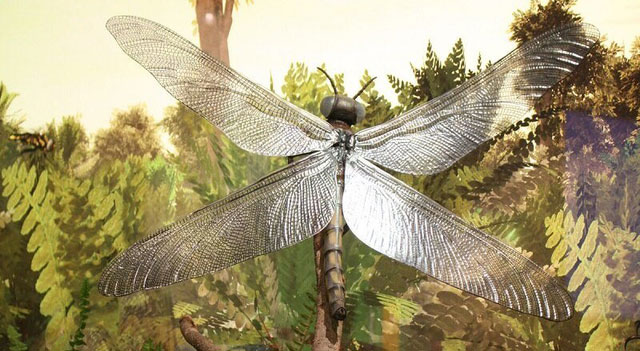 Giant dragonflies and facts about the prehistoric world that you should ...