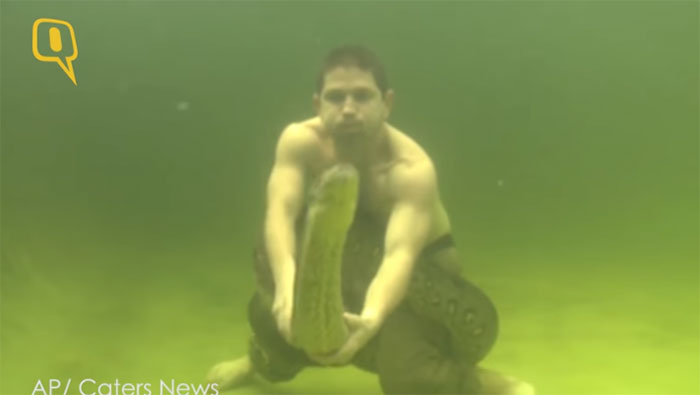Picture 1 of Horrified the scene when the man struggled terribly underwater