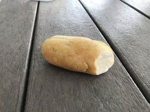 Picture 10 of How has nature fooled humans?
