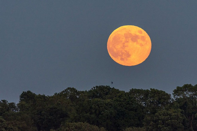 Picture 10 of Impressive photos of the 6/6 lunar eclipse