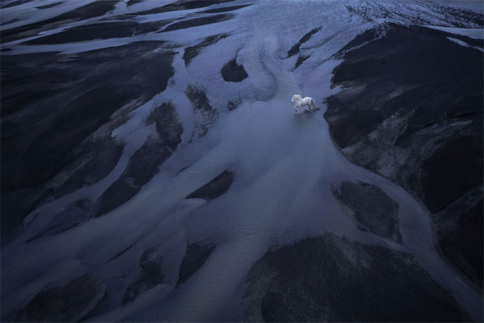 Picture 10 of Legendary horse breeds on icy islands