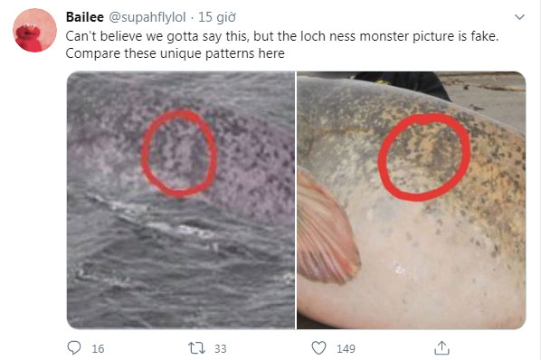 Picture 3 of Loch Ness Monster returns?
